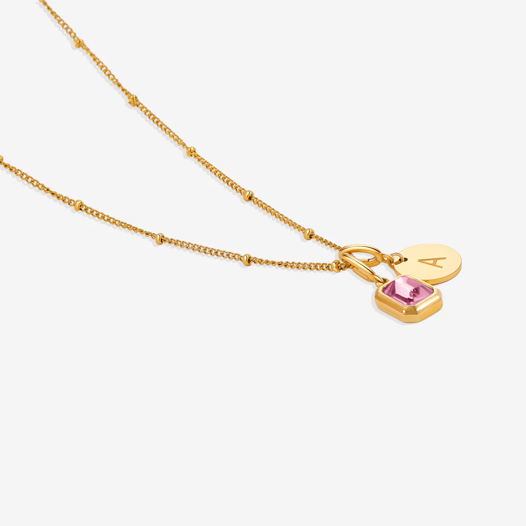 Baguette Birthstone & Initial Necklace - Image 120