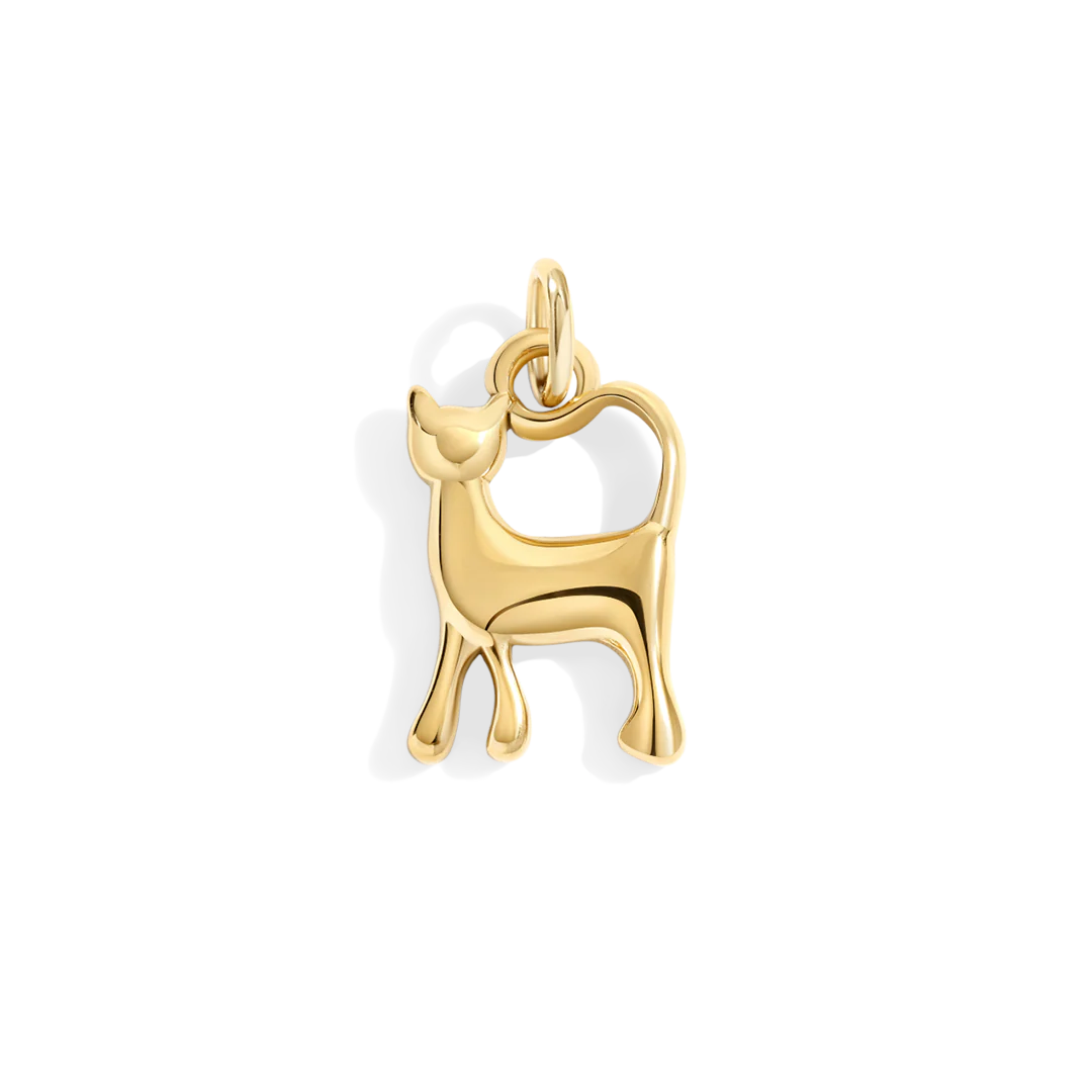 Cat Charm