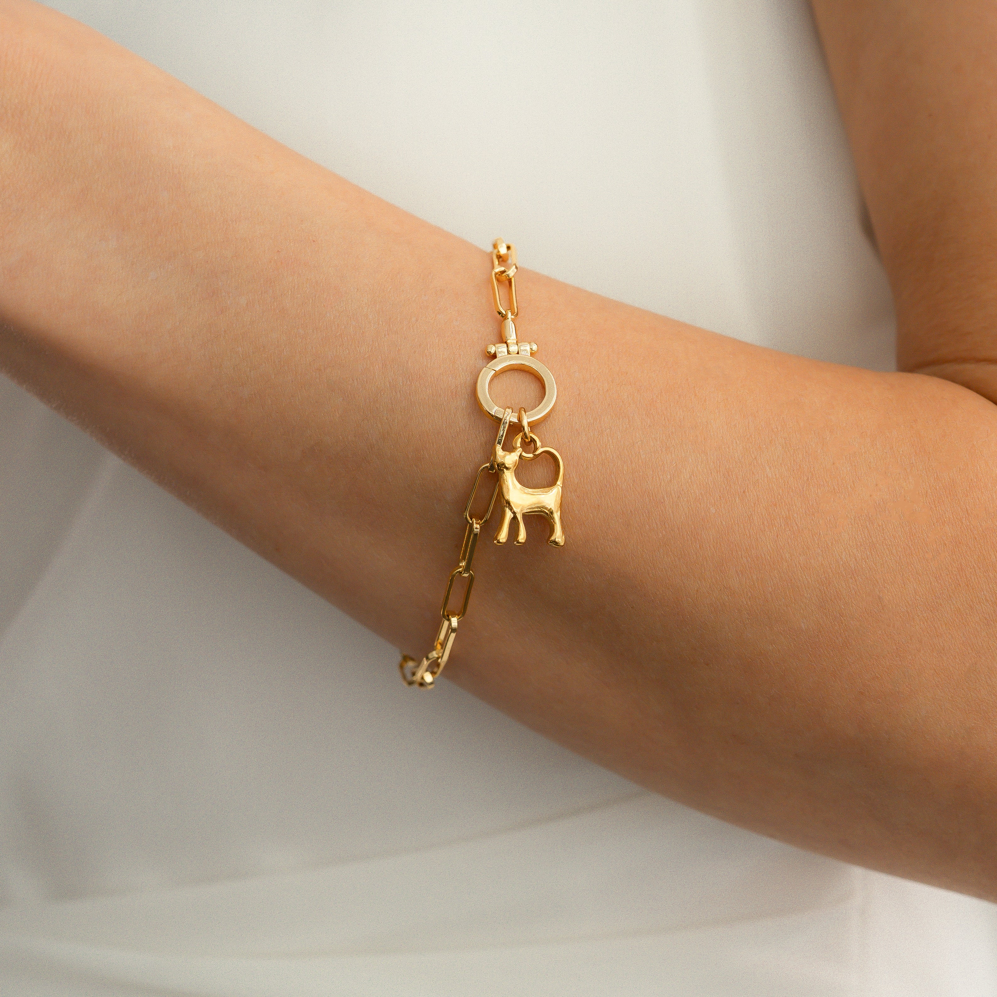 Cat Charm - Image 9
