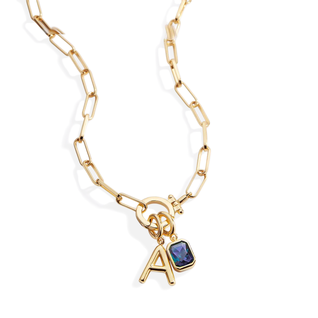 Mint Paperclip Necklace with Initial & Birthstone Charm - Image 56