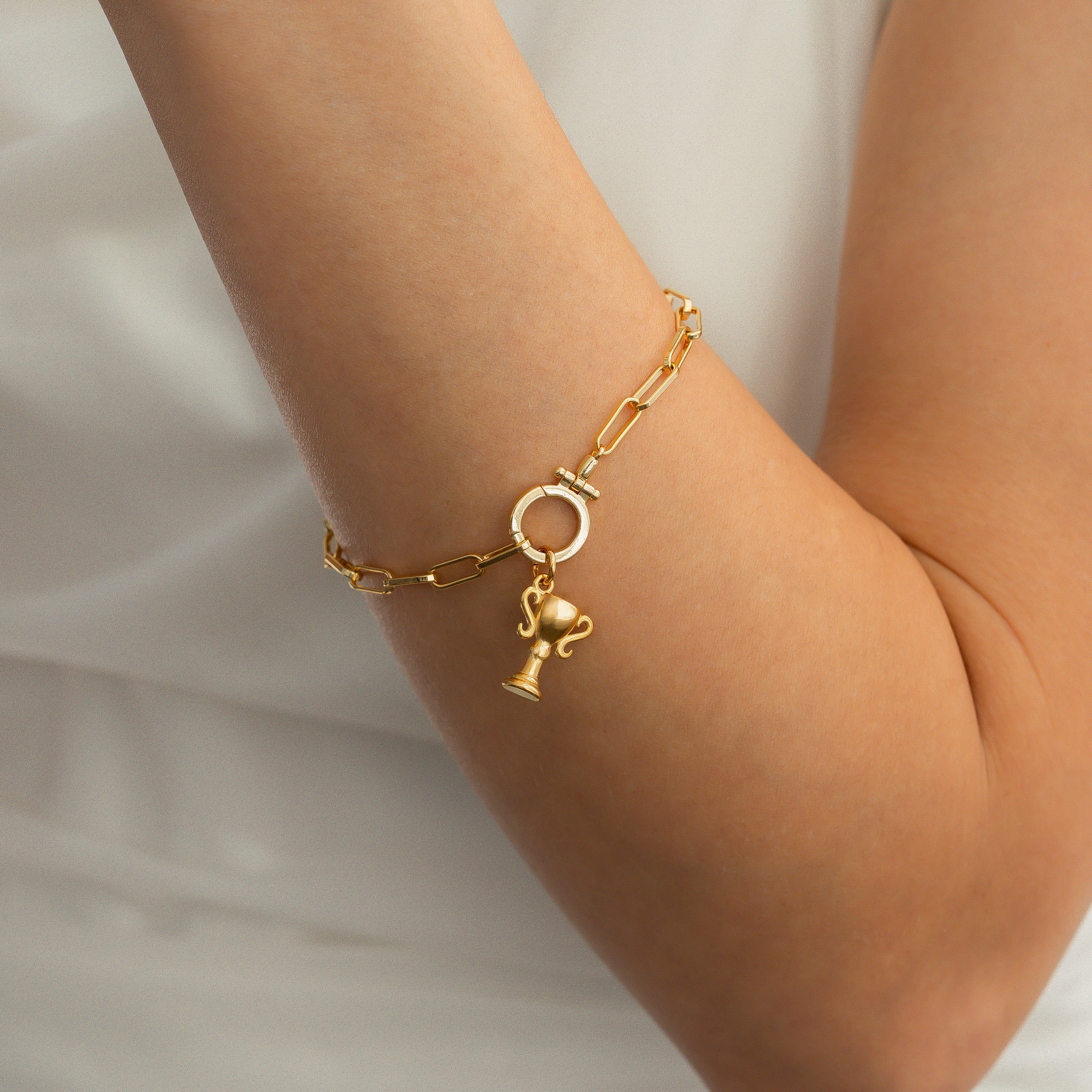 Trophy Charm - Image 5