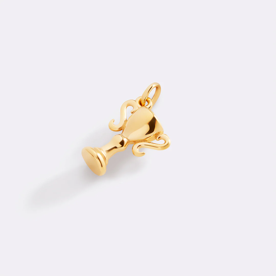 Trophy Charm - Image 8